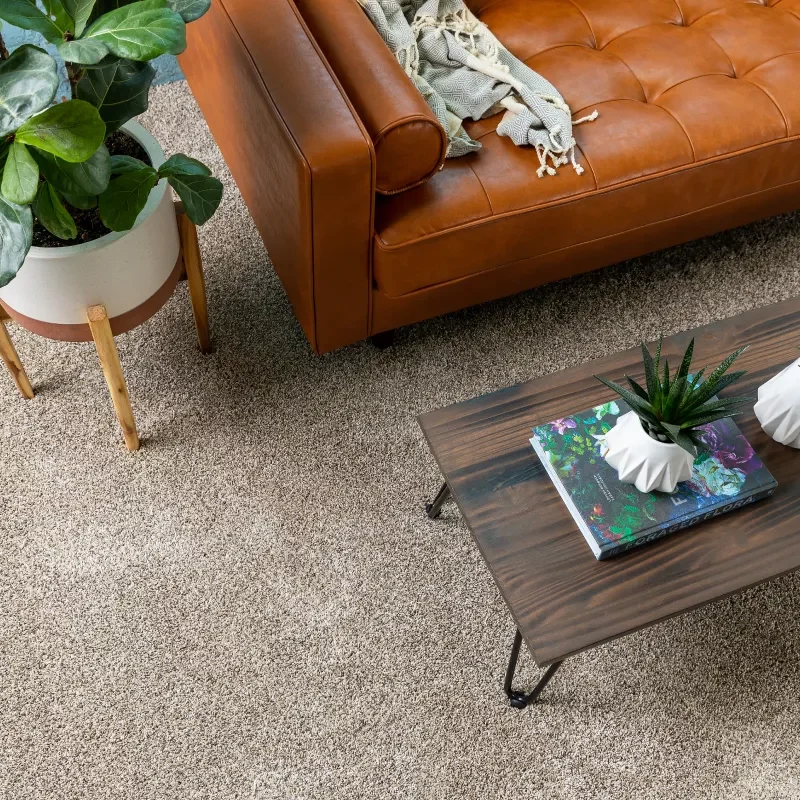 An overhead view of carpet in a modern sitting room